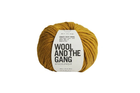 Wool and the Gang Cazy Sexy Wool