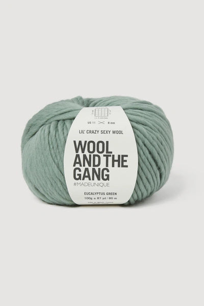 Wool and the Gang Lil Crazy Sexy Wool