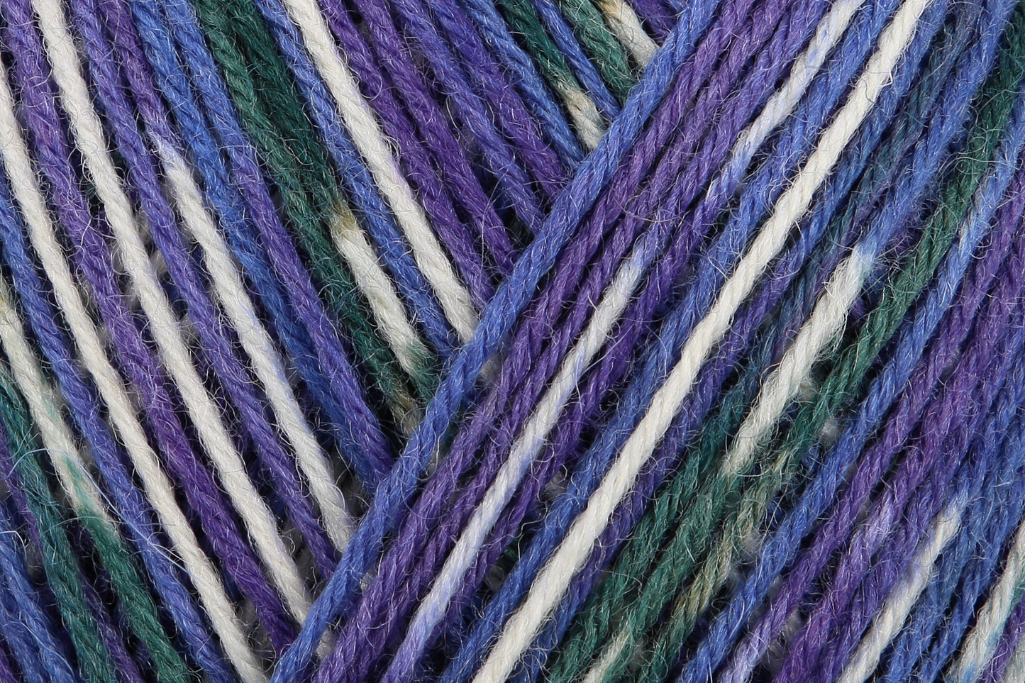 REGIA Design Line by ARNE & CARLOS 4-ply Color