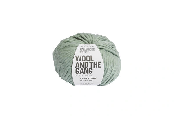 Wool and the Gang Cazy Sexy Wool