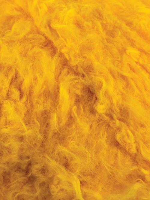 Laines Du Nord Plume