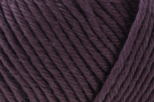 Summerlite DK